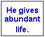 Abundant Life